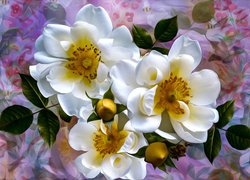 Białe kwiaty dzikiej róży