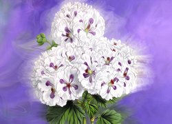Białe kwiaty na fioletowym tle