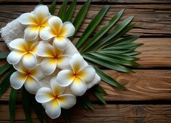 Kwiat, Plumeria, Ręcznik, Liść, Drewno Kwiat
