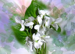 Białe kwiaty w bukiecie