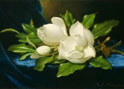 Malarstwo, Obraz, Martin Johnson Heade, Białe, Magnolie