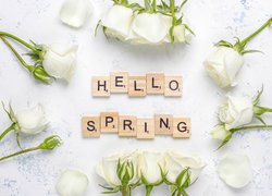 Kwiaty, Białe, Róże, Napis, Hello Spring, Wiosna