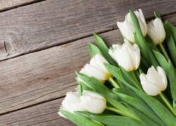 Kwiaty, Bukiet, Białe, Tulipany, Deski