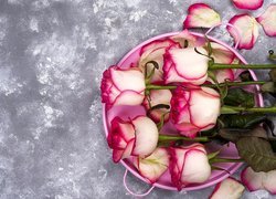 Biało-różowe pąki róż
