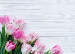 Kwiaty, Biało-różowe, Tulipany, Białe, Deski