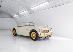 Biało-złoty Austin Healey