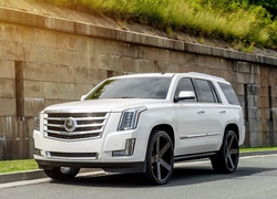 Biały Cadillac Escalade rocznik 2015 na drodze