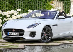 Biały, Jaguar F-Type