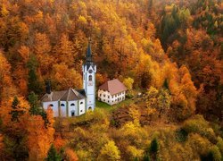 Biały kościół w jesiennym lesie