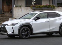 Biały, Lexus UX, Bok