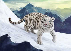 Biały tygrys na górskim spacerze