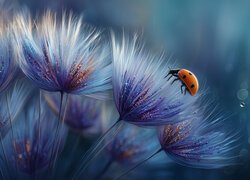 Biedronka na dmuchawcach z brokatem