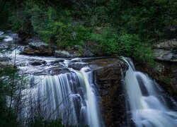 Stany Zjednoczone, Wirginia Zachodnia, Park Stanowy Blackwater Falls, Wodospad, Blackwater Falls, Kaskada, Skały, Drzewa, Roślinność