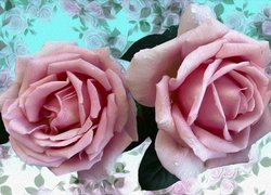 Bladoróżowe graficzne róże