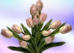 Bladoróżowe tulipany w bukiecie