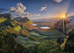 Szkocja, Dolina, Wzgórza, Quiraing, Zachód słońca, Drzewo