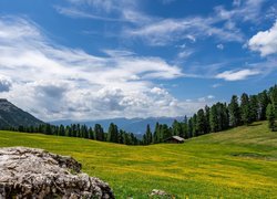 Błękitne niebo nad łąką i górami