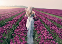Blondynka zbierająca kwiaty na polu tulipanów