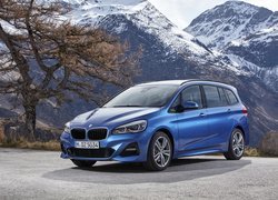 BMW M2 Gran Tourer, F46, 2018