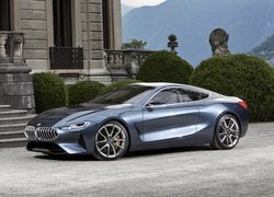 BMW 8 Series Concept, 2017, Prototyp