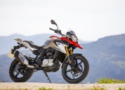 BMW G 310 GS