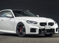BMW M2, Białe