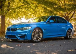 Niebieskie, BMW M3, F80, Sedan, 2014