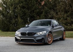 BMW M4 GTS, 2015