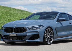 BMW M850i Coupe, DAHLer