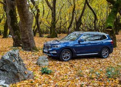 BMW X3 2018