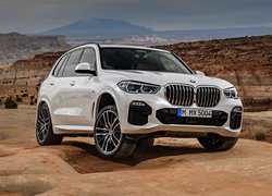 BMW X5 IV generacji