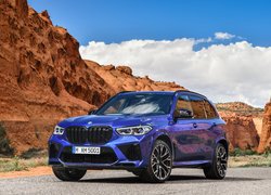 BMW X5 M F95