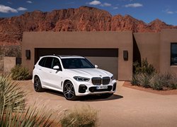 BMW X5 xDrive 40i Sport SUV