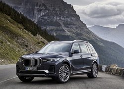 BMW X7 G07