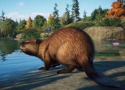 Bóbr europejski nad jeziorem w grze Planet Zoo