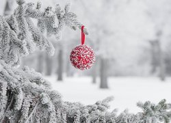 Bombka zawieszona na ośnieżonej gałązce