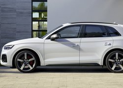 Bok Audi SQ5