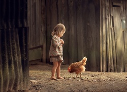 Bosonoga dziewczynka obserwuje kurę