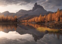 Brązowe modrzewie nad jeziorem Lago Federa