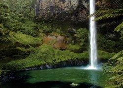 Wodospad, Bridal Veil Falls, Skały, Rośliny, Nowa Zelandia