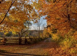 Bronte Creek Provincial Park w Ontario w jesiennej scenerii