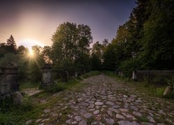 Wschód słońca, Promienie słońca, Drzewa, Droga, Ogrodzenie, Wieś, Serednikovo, Rosja