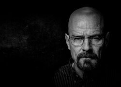 Bryan Cranston
