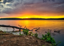 Stany Zjednoczone, Stan Georgia, Park Glass Bridge Recreation Area, Drzewa, Jezioro West Point Lake,  Zachód słońca