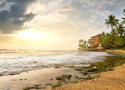 Brzeg oceanu na Sri Lance z domem między palmami