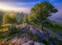 Wschód słońca, Skały, Drzewa, Brzoza, Roślinność, Mgła, Gubacha, Kraj Permski, Rosja