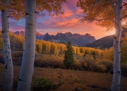 Góry, San Juan Mountains, Las, Drzewa, Brzozy, Jesień, Zachód słońca, Kolorado, Stany Zjednoczone