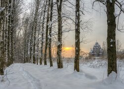Brzozy przy zaśnieżonej drodze i cerkiew w oddali