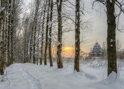 Zima, Śnieg, Drzewa, Brzozy, Droga, Cerkiew, Wschód słońca
