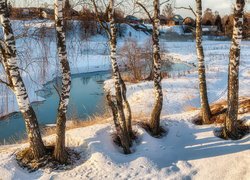 Brzozy w śniegu na brzegu rzeki
